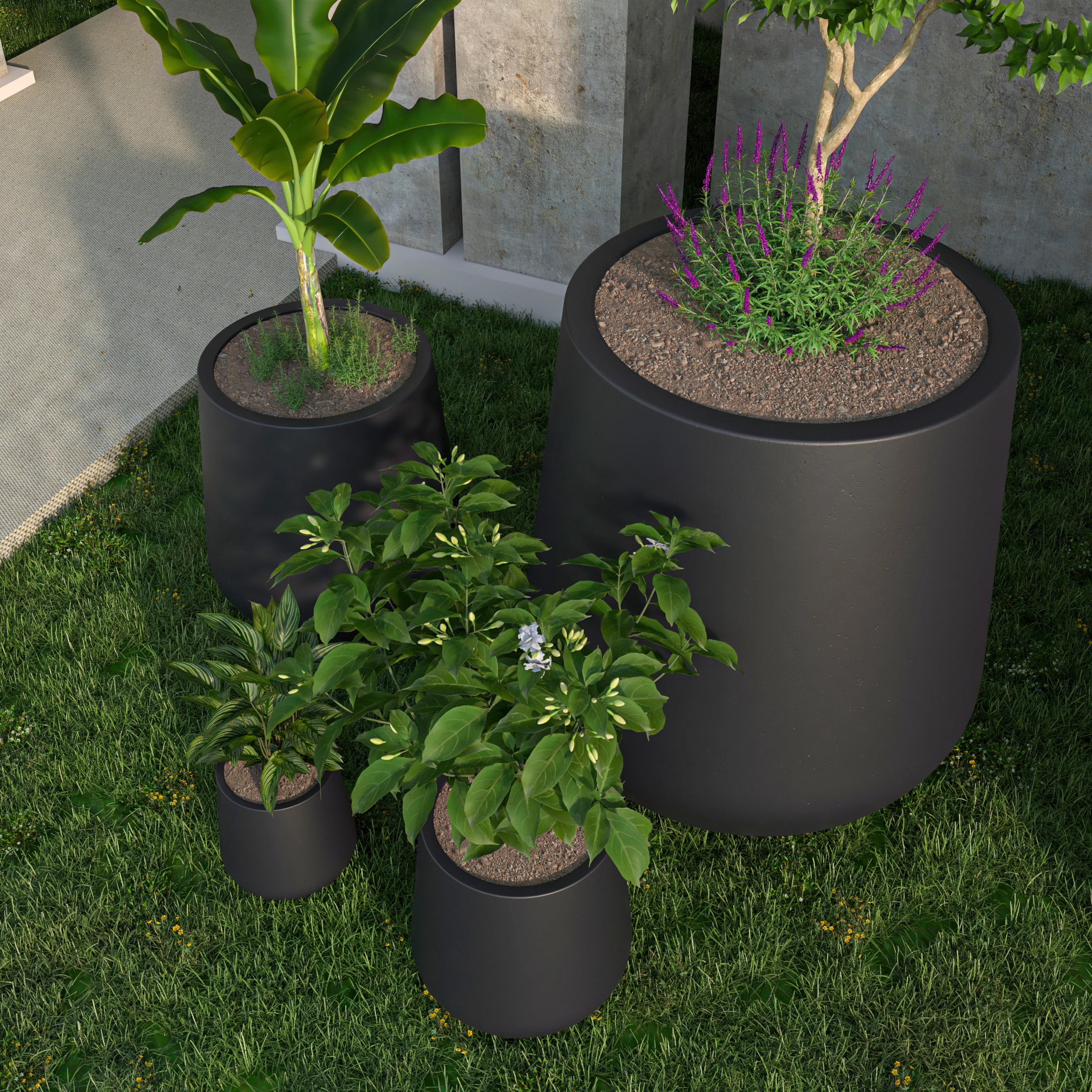 Orchid Planter Set Black