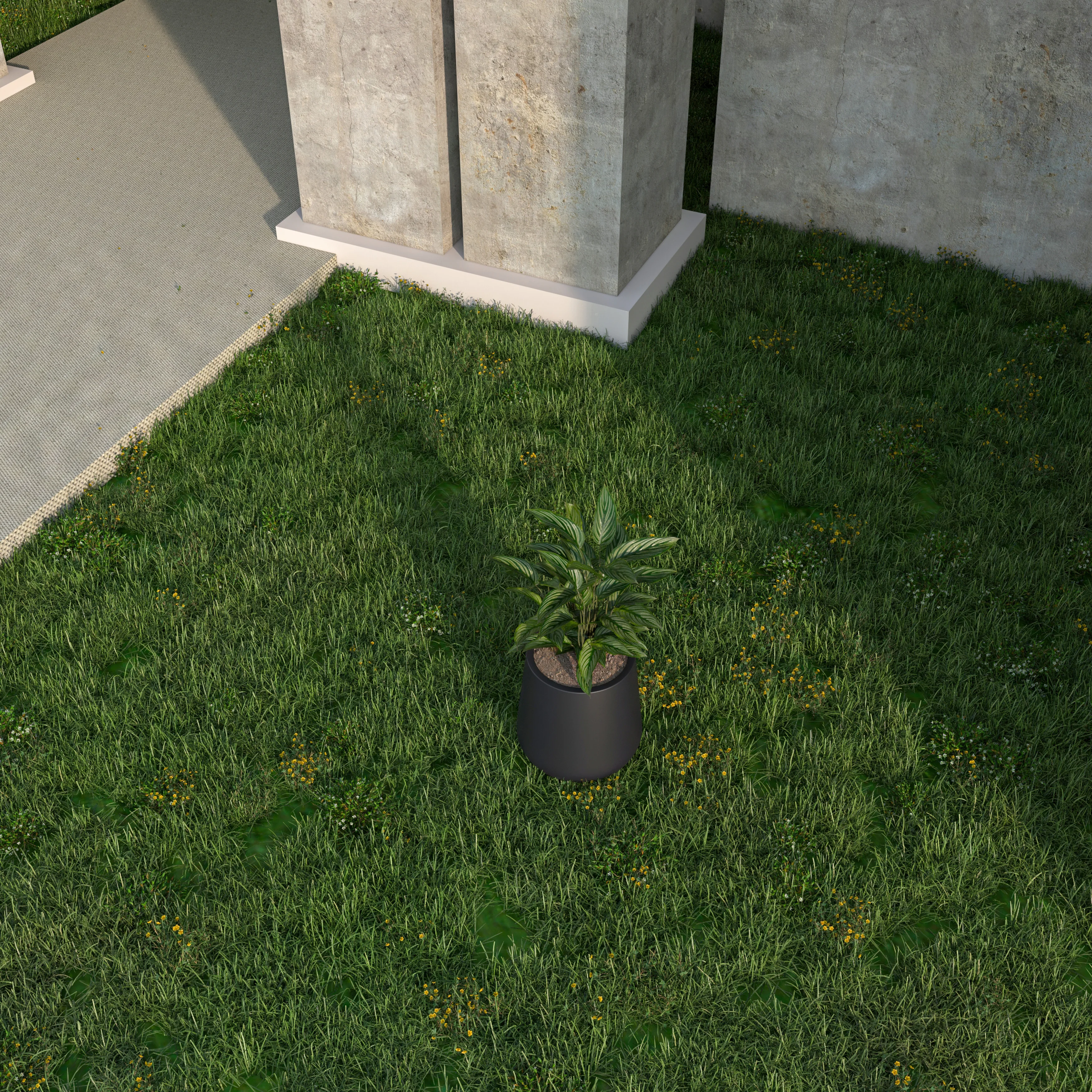 Orchid Seires Poly Stone Planter in Black 7.1 Dia 7.9 High