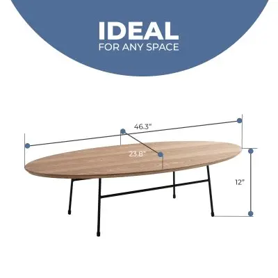 Rossmore Oval Coffee Table with Ash Veneer Top and Black Powder Coated Steel Frame in Natural Wood