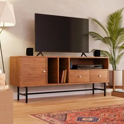 Rochester Modern Rectangular TV Stand with Enclosed Storage and Powder Coated Iron Legs