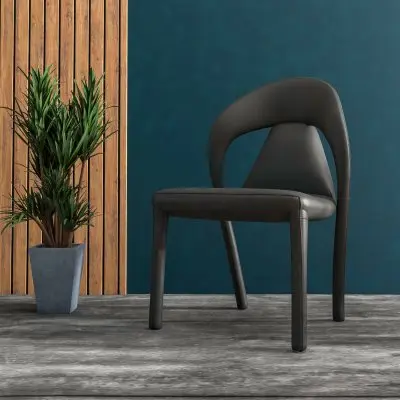 Solace Series Modern Dining Chair in Black
