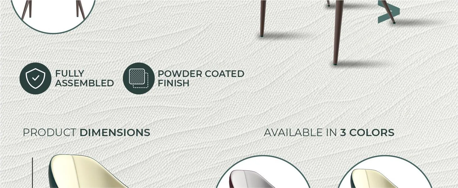 Sante Collection Modern Dining Chair Set of 4 in Cream/Green