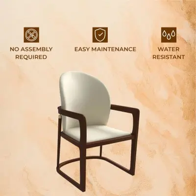 Svelta Elegant Wooden Dining Chair in Cream