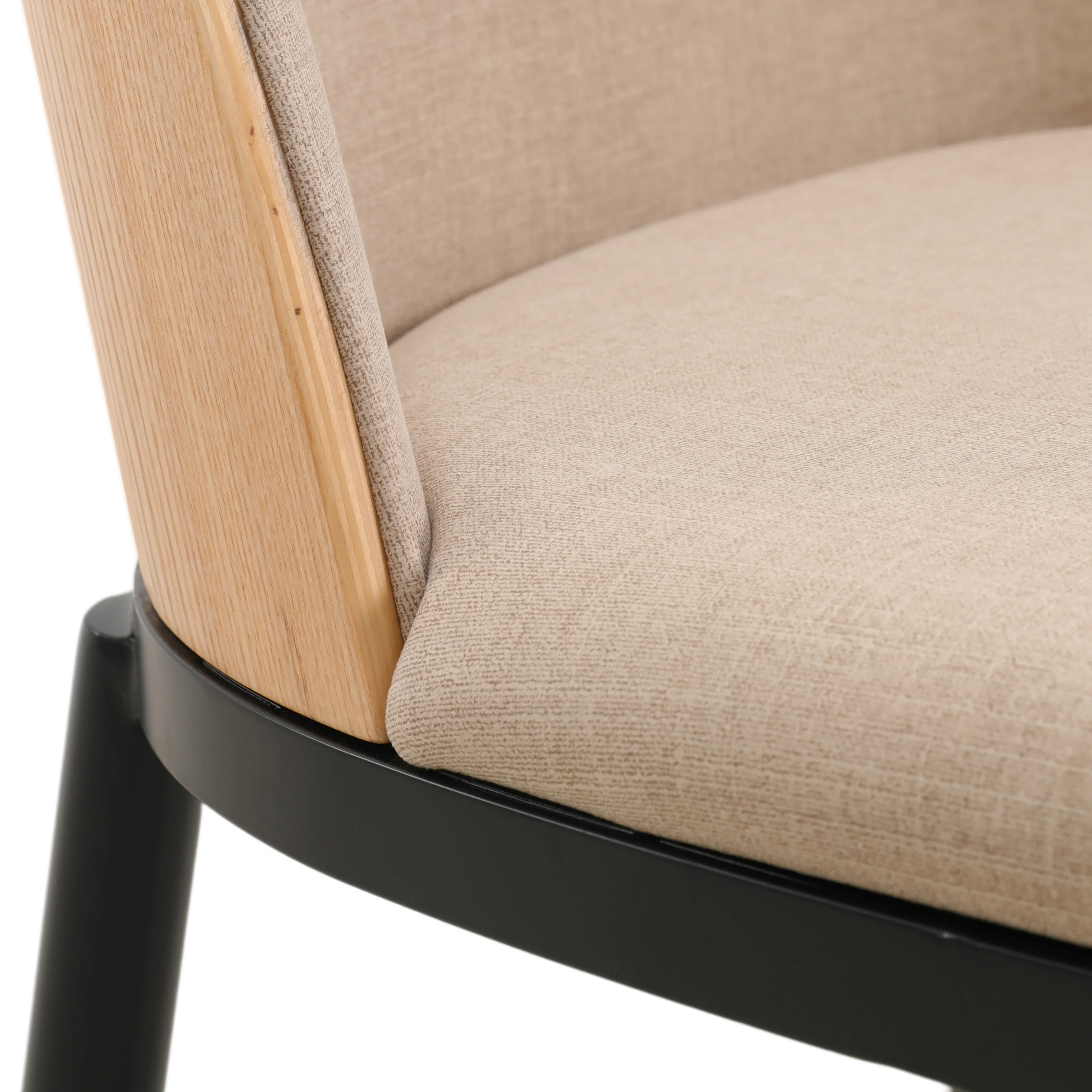 Tule Mid-Century Modern Dining Side Chair with Velvet Seat and Powder-Coated Steel Frame for Kitchen and Dining Room