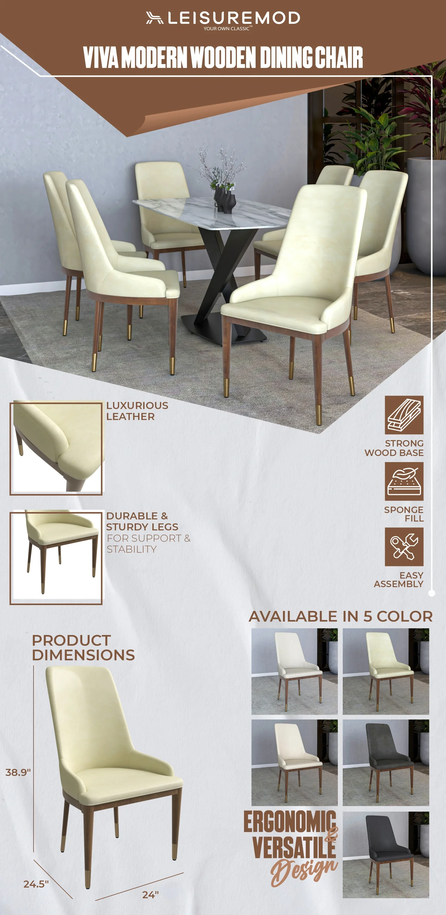 Viva Collection Modern Wooden Dining Chair in Cream