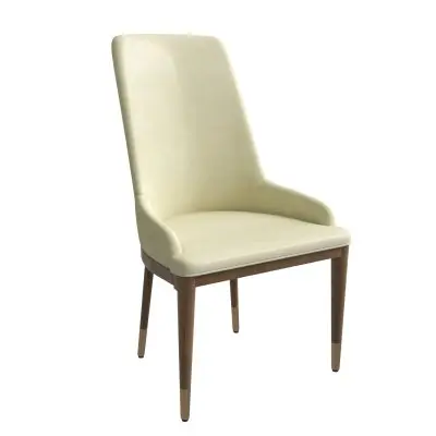 Viva Collection Modern Wooden Dining Chair in Cream