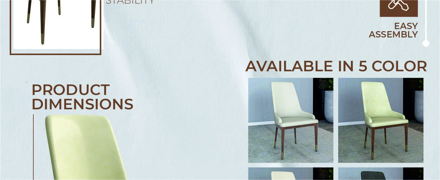 Viva Collection Modern Wooden Dining Chair in Cream Set of 2