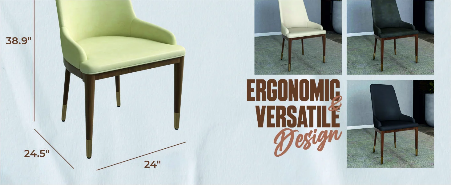 Viva Collection Modern Wooden Dining Chair in Cream Set of 2