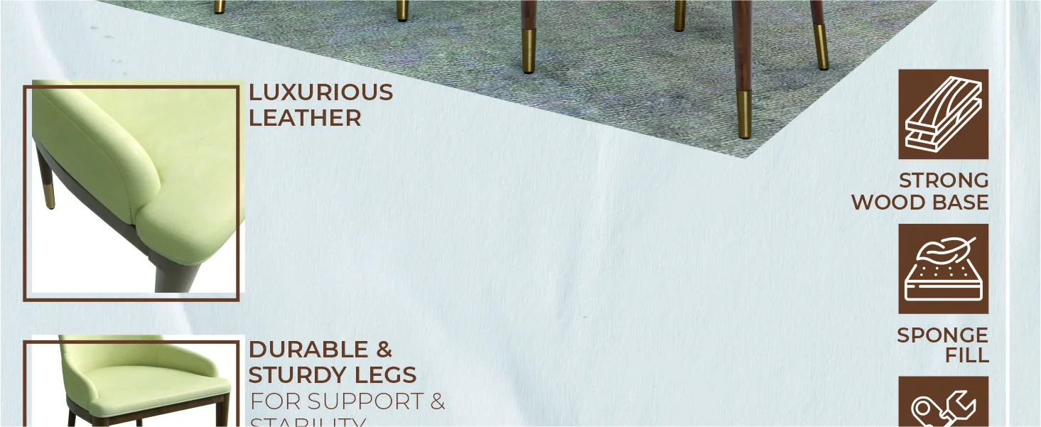 Viva Collection Modern Wooden Dining Chair in Cream Set of 2