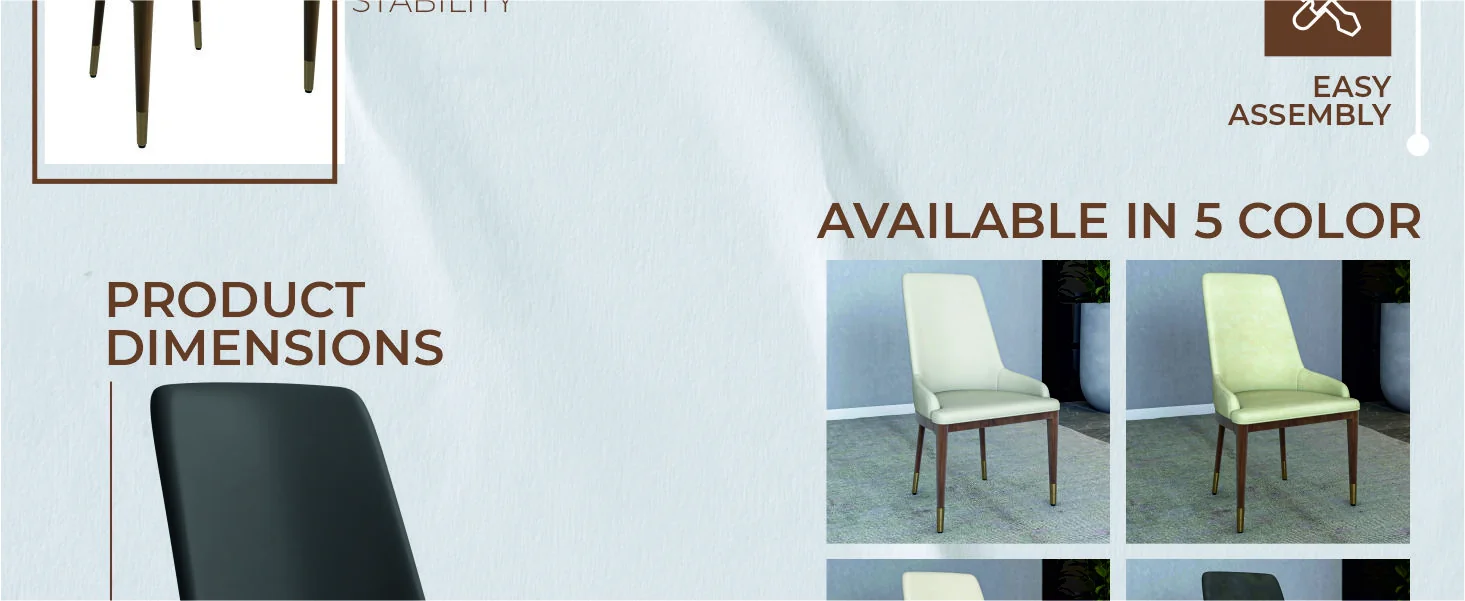 Viva Collection Modern Wooden Dining Chair in Dark Grey Set of 2