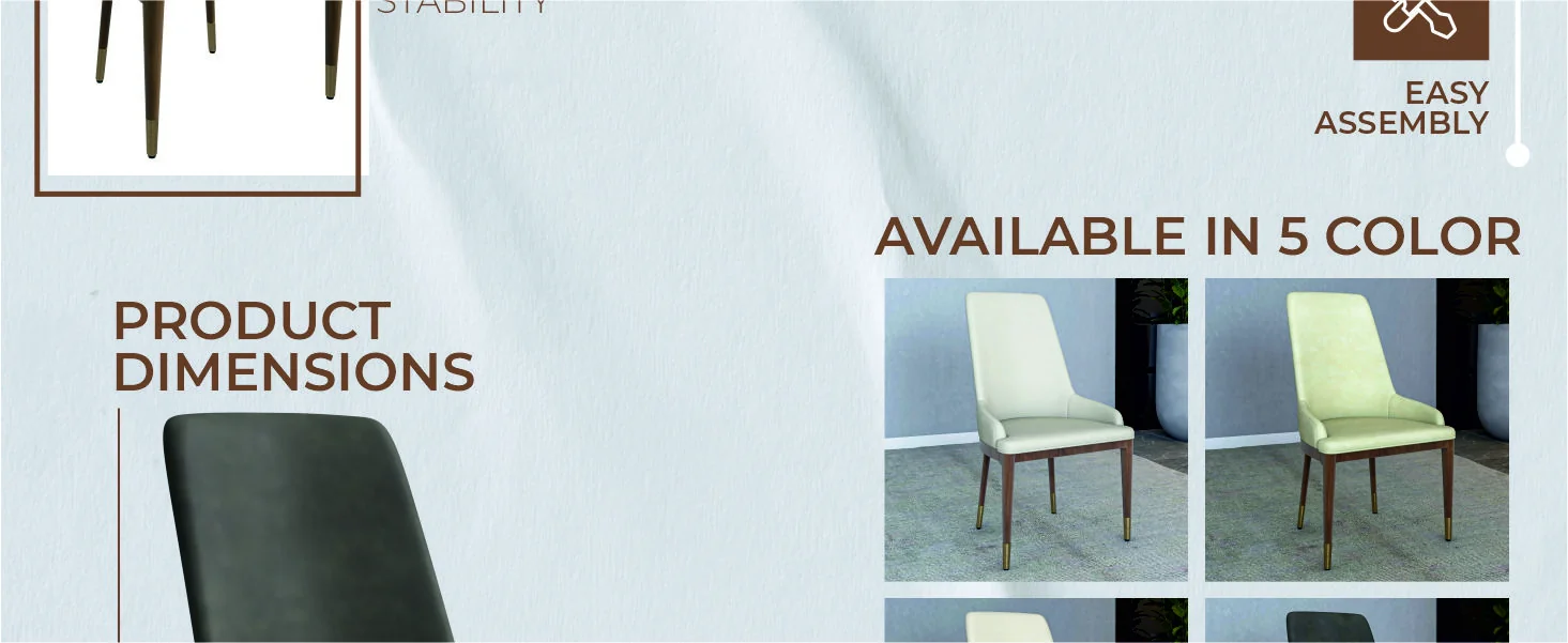 Viva Collection Modern Wooden Dining Chair in Mocha Brown Set of 4