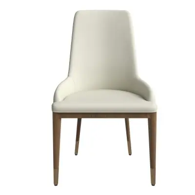 Viva Collection Modern Wooden Dining Chair in Toupe
