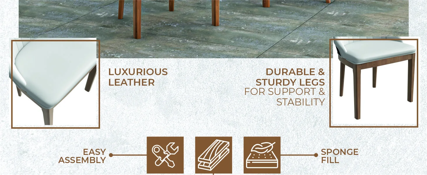 Verisma Collection Modern Wooden Dining Chair in Black Fabric with Light Grey Front