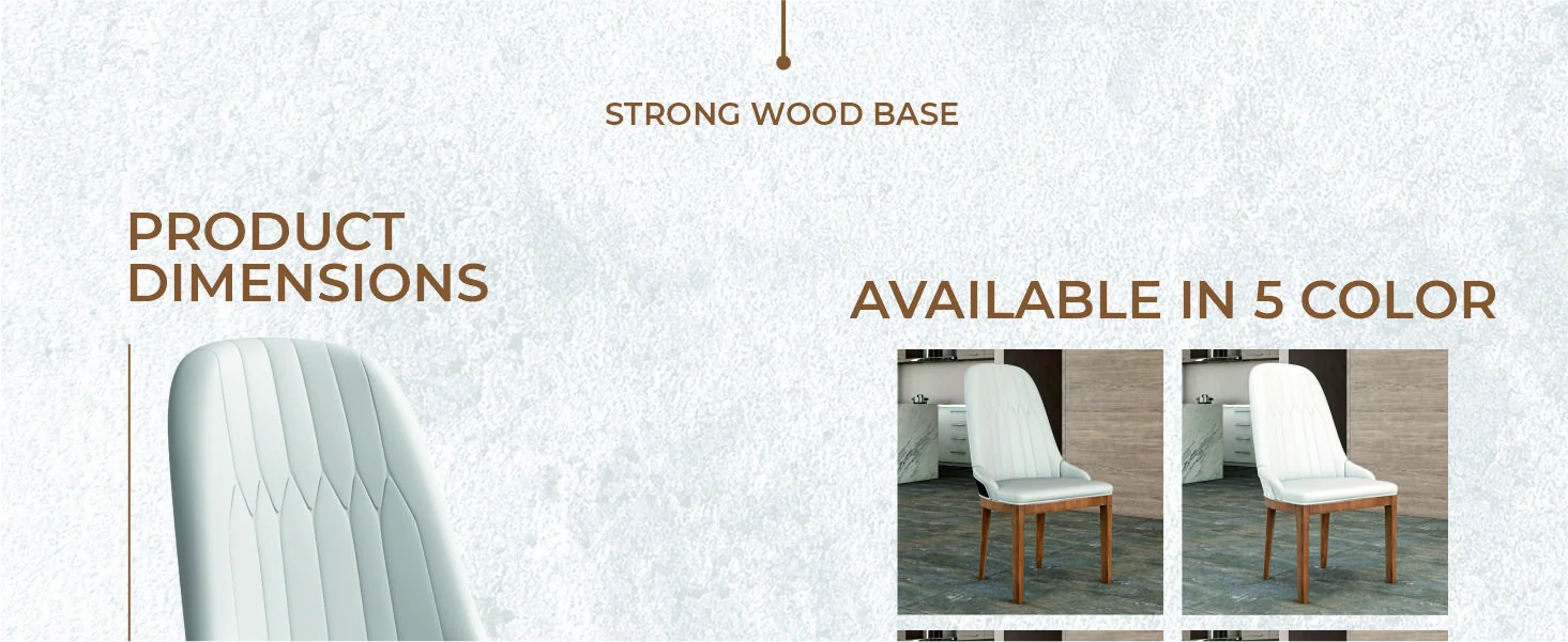 Verisma Collection Modern Wooden Dining Chair in Black Fabric with Light Grey Front