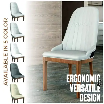 Verisma Collection Modern Wooden Dining Chair in Black Fabric with Light Grey Front