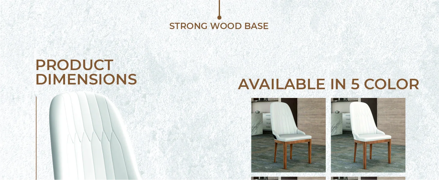 Verisma Collection Modern Wooden Dining Chair in Black Fabric with White Front