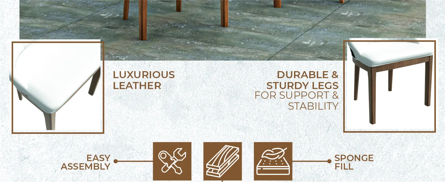 Verisma Collection Modern Wooden Dining Chair in Black Fabric with White Front