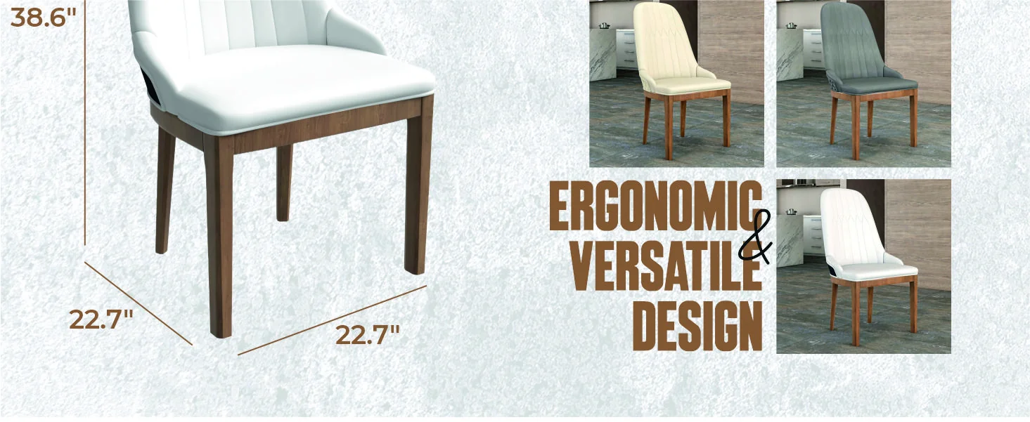 Verisma Collection Modern Wooden Dining Chair in Black Fabric with White Front