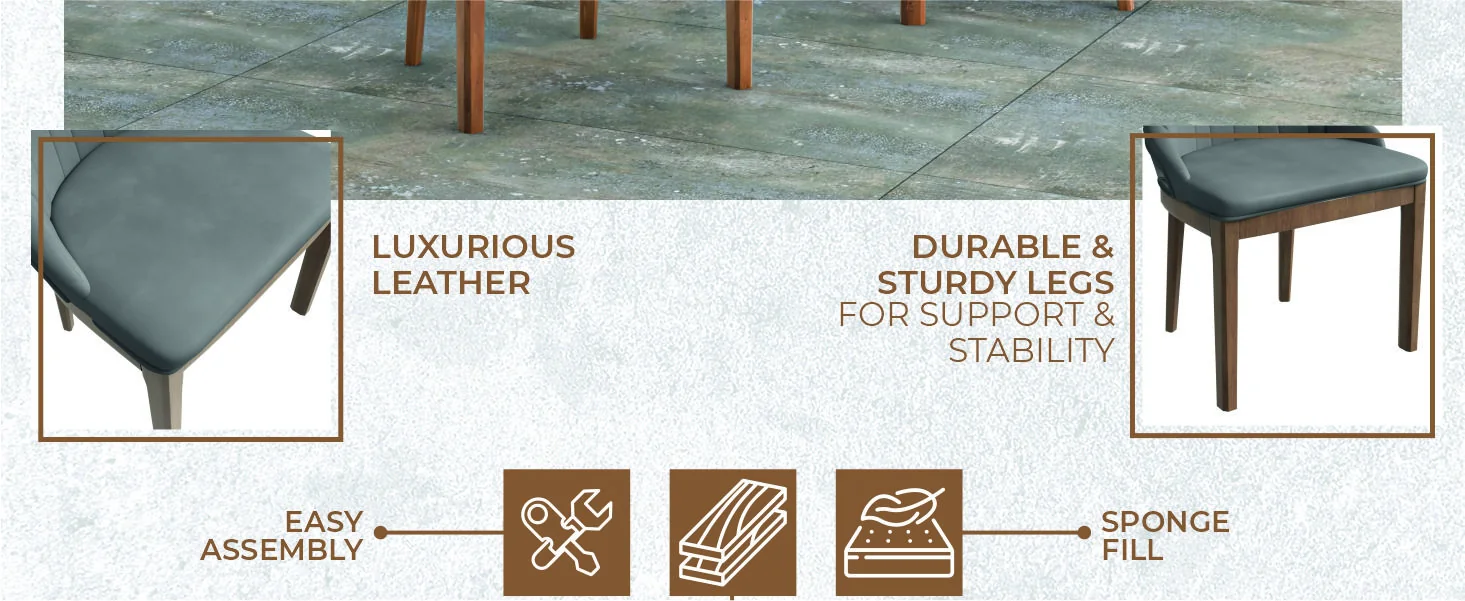 Verisma Collection Modern Wooden Dining Chair in Grey