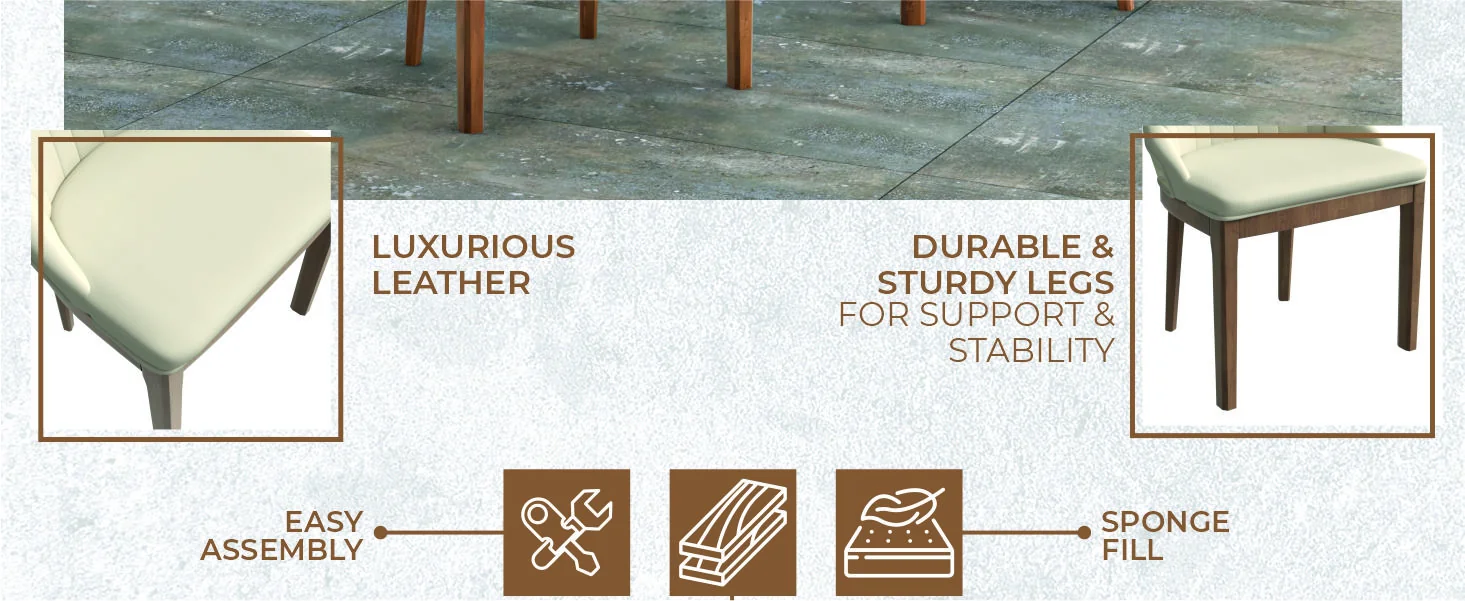 Verisma Collection Modern Wooden Dining Chair in Light Toupe