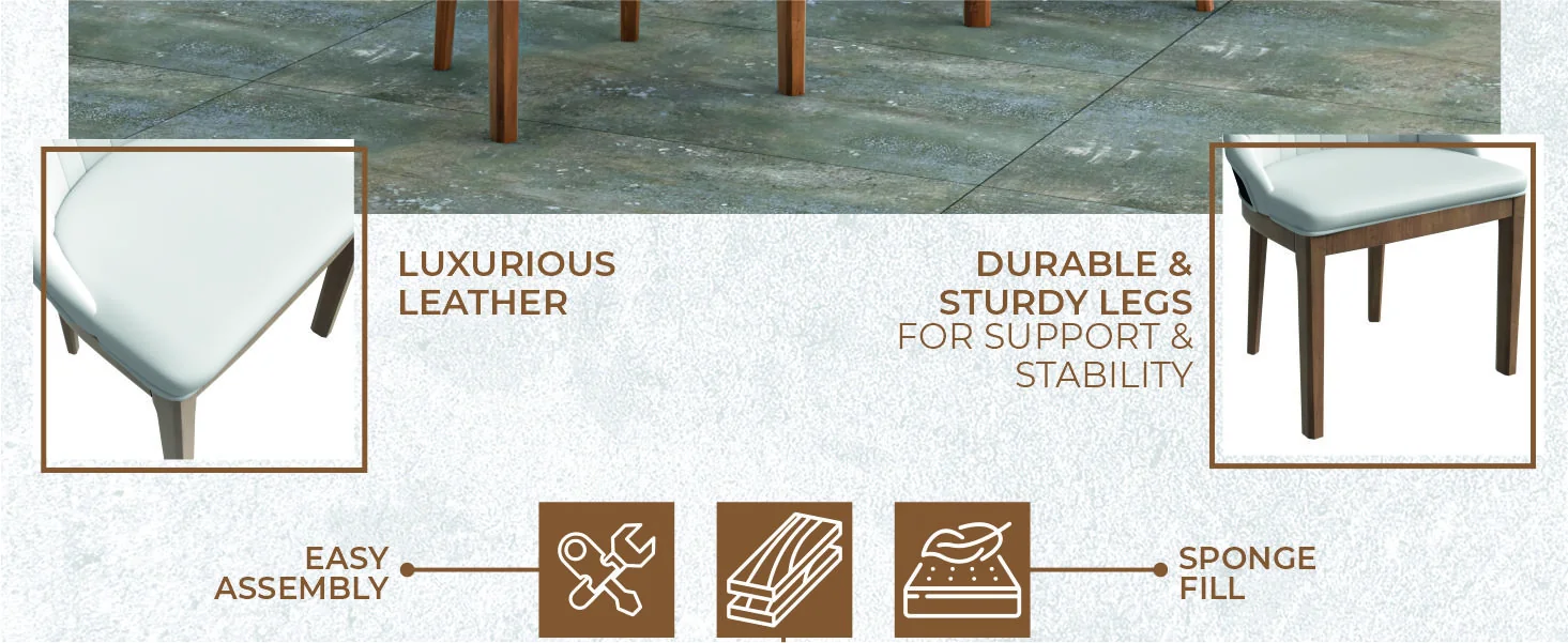 Verisma Collection Modern Wooden Dining Chair in White