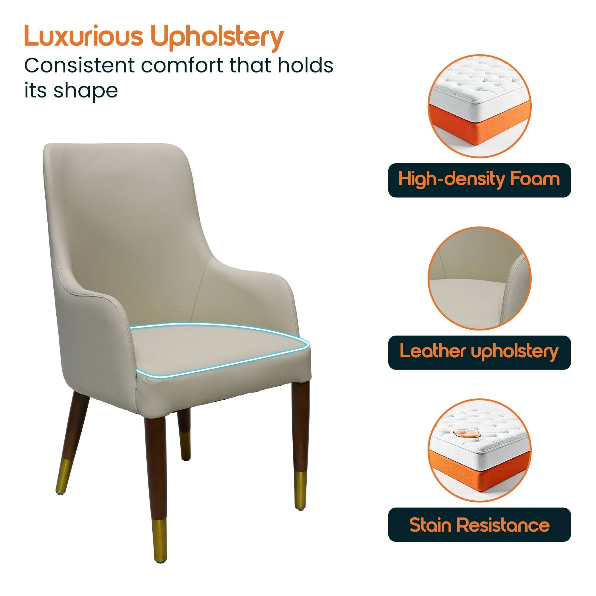 Viva Collection Modern Wooden Dining Arm Chair in Taupe - Set of 2