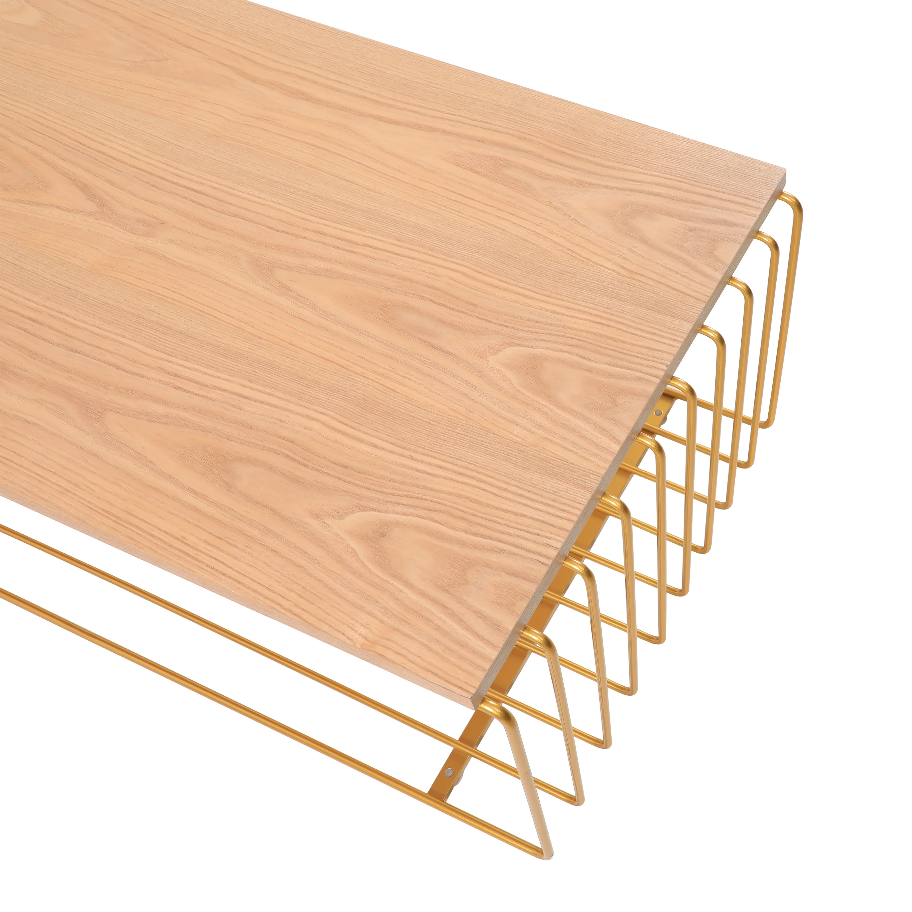 Walden Rectangular Coffee Table with Ash Veneer Top and Powder Coated Steel Frame in Gold