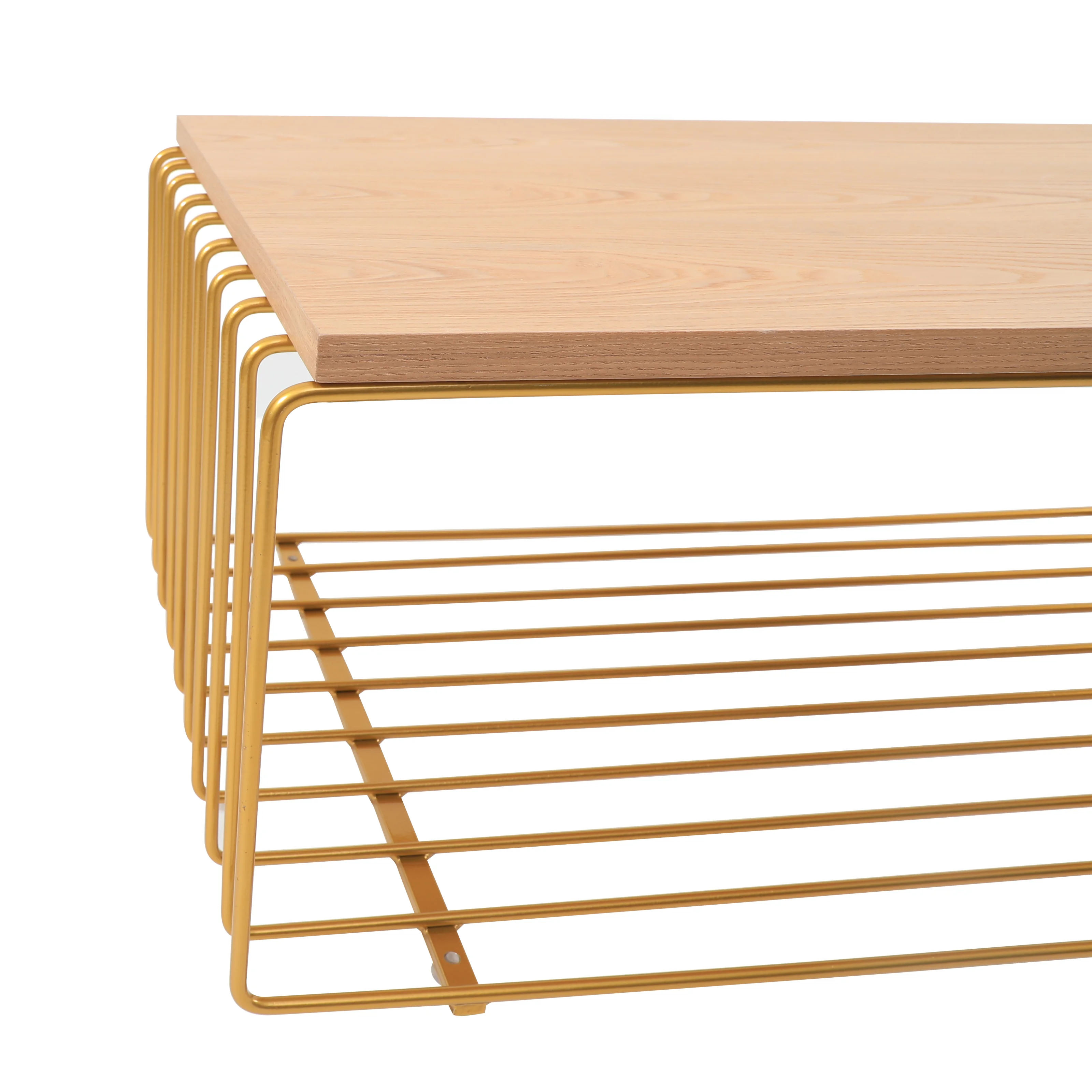 Walden Rectangular Coffee Table with Ash Veneer Top and Powder Coated Steel Frame in Gold