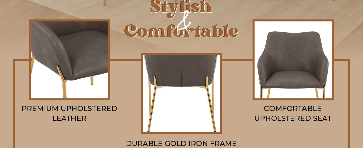 Zaire Collection Modern Dining Chair, Gold Legs and CHarcoal Fabric