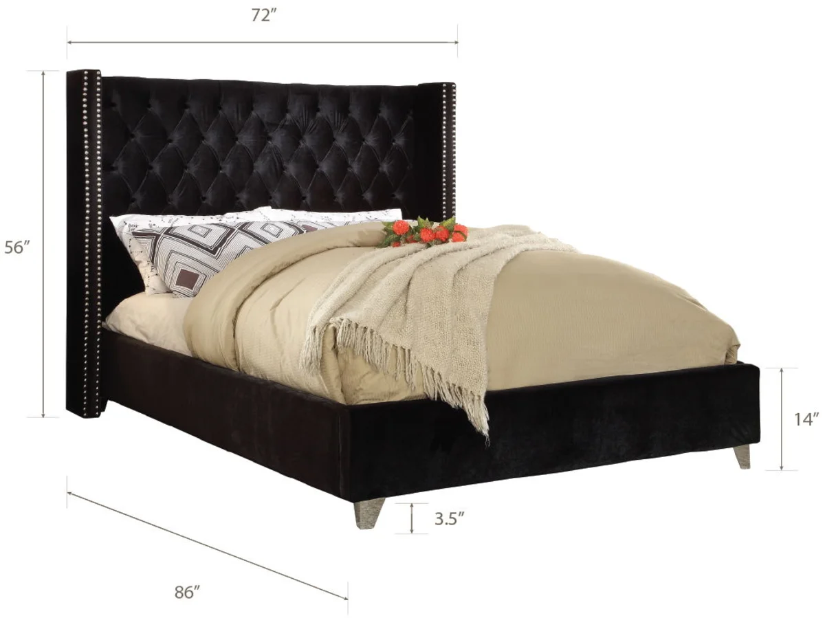 Aiden - Queen Bed - Black