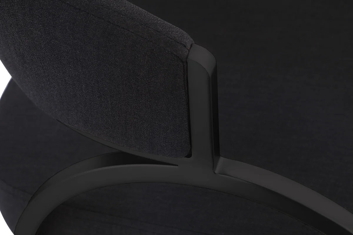 Privet - Dining Chair (Set of 2) - Black