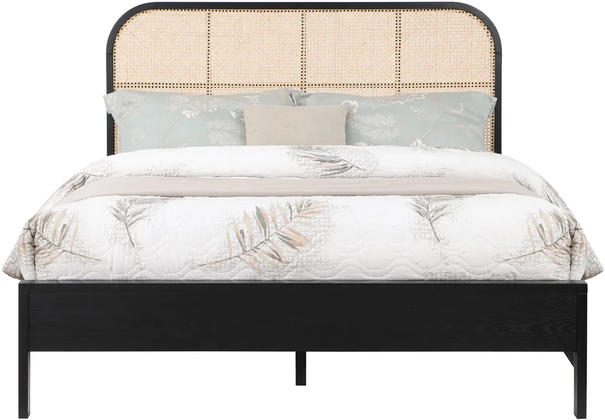 Siena - Queen Bed - Black
