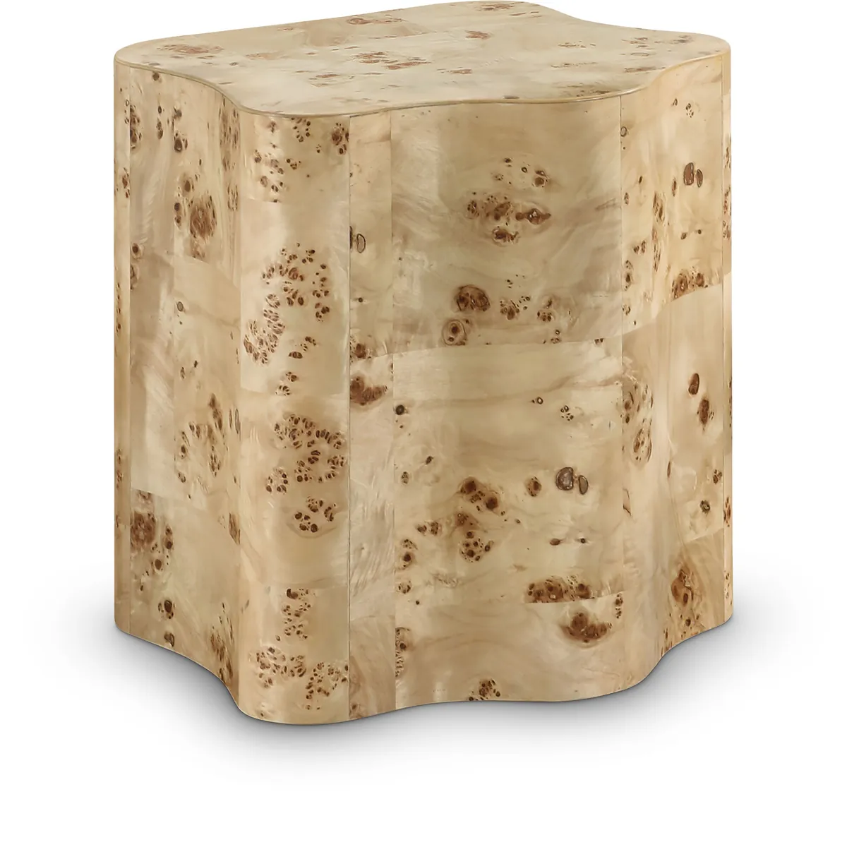Zaire - Burl Wood End Table - Natural