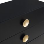 Zayne Wood Veneer Chest