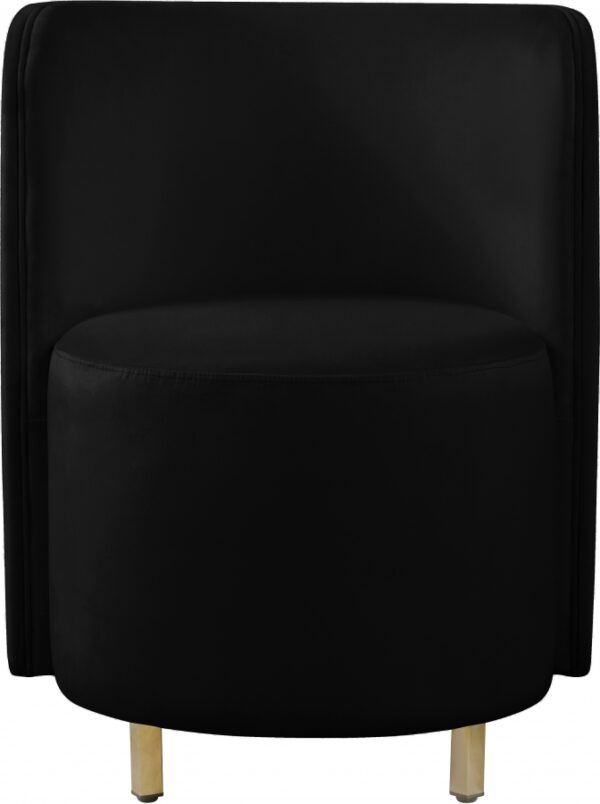 Rotunda Velvet Upholstered Chair