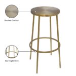 Tyson Iron Bar Stool