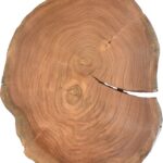 Woodland Acacia Wood Top And Acrylic Base End / Side Table