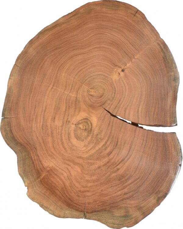 Woodland Acacia Wood Top And Acrylic Base End / Side Table