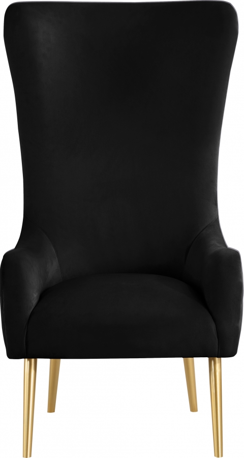 Alexander Velvet Upholstered Accent Chair