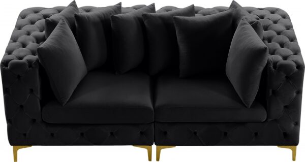 Tremblay 79" Velvet Upholstered 2pc. Modular Loveseat