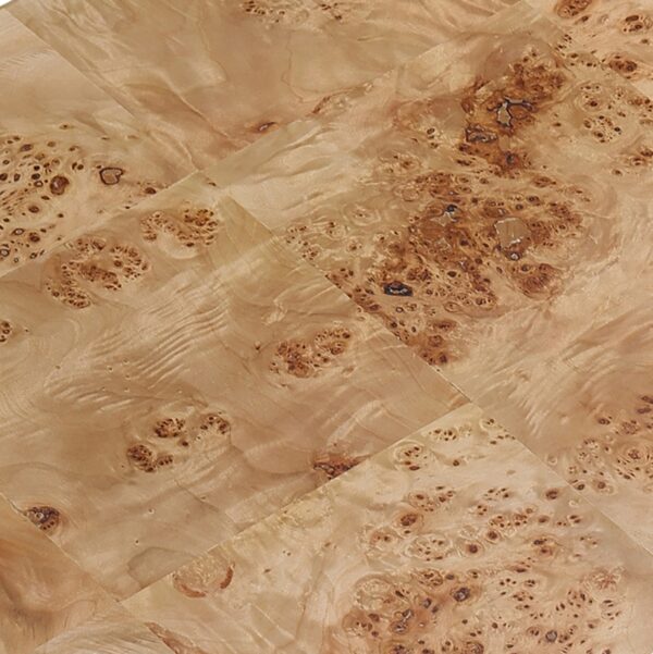 Cresthill Burl Wood Coffee Table