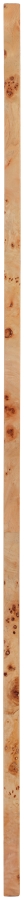 Cresthill Burl Wood Frame Mirror