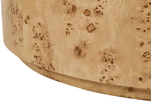 Burl Wood Coffee Table