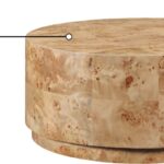 Burl Wood Coffee Table
