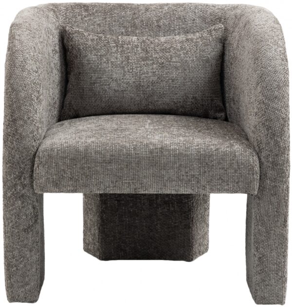 Sawyer Chenille Fabric Upholstered Accent Chair