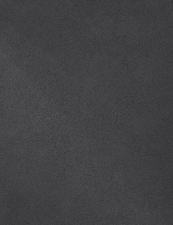 Gallo Vegan Leather Upholstered Bed