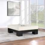 Charleville Vegan Leather And Oak Veneer Coffee Table