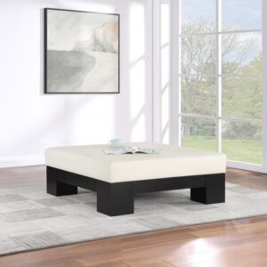 Charleville Vegan Leather And Oak Veneer Coffee Table