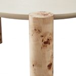 Thor Resin Top And Burl Veneer Base Coffee Table