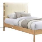 Asher Vegan Leather Upholstered Twin Bed